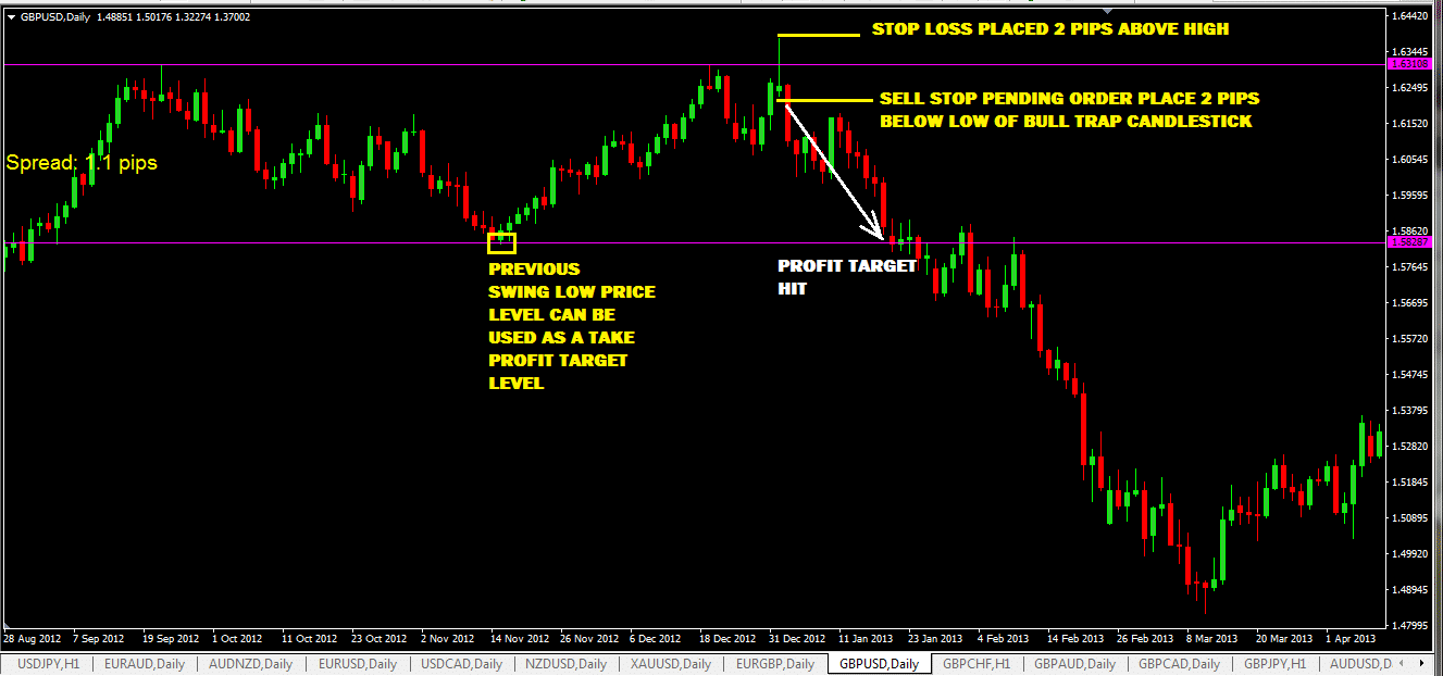Windsor forex